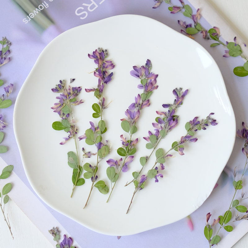 6 peças, Flores Secas Naturais - Resin Art And Jewelry avaliação e preço